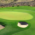 Golf Course Turf Grass Services