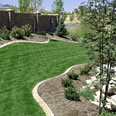 Residential and Commercial Turf Grass Services